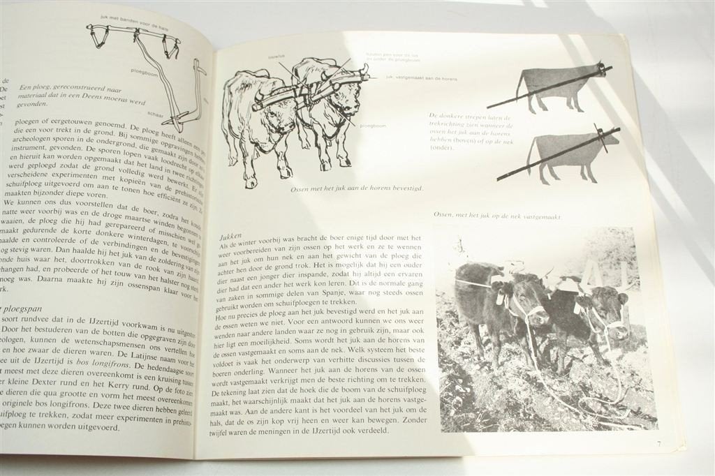 Boeren in de IJzertijd — Archeologie, Landbouw, Jeugdboek, Boeken, Ophalen of Verzenden, Gelezen