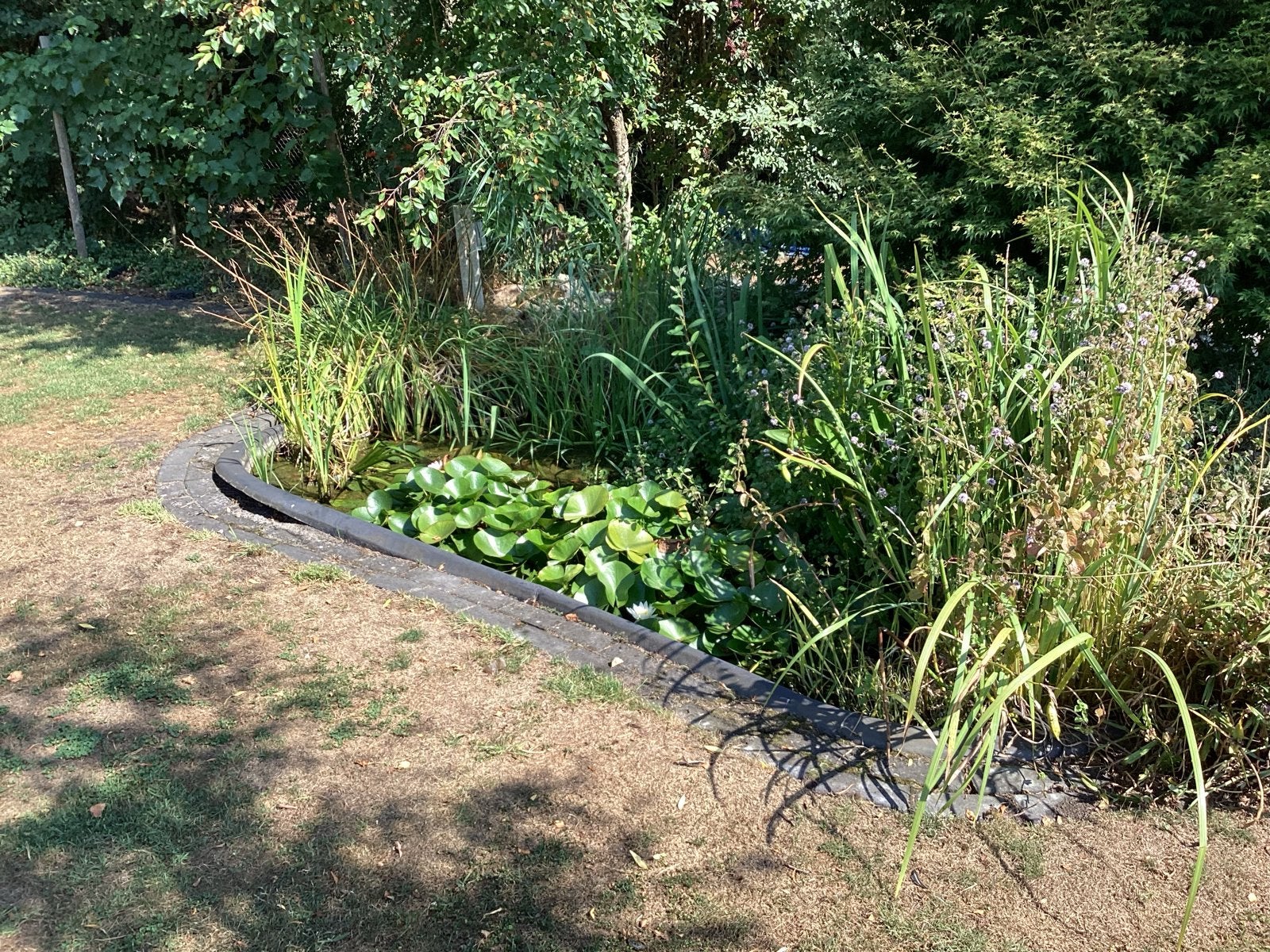 Mooie grote vijverbak, Ophalen, Gebruikt