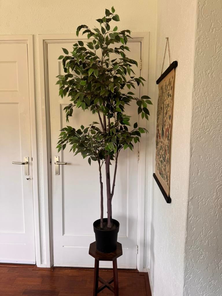 Grote kunstplant ikea Fejka ficus 170 cm hoog, Ophalen, Kunstplant