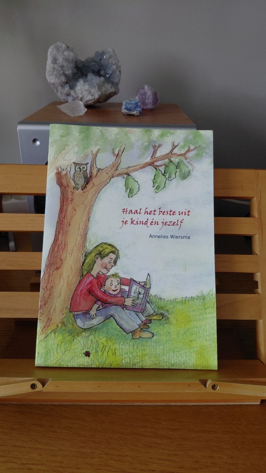 Haal het beste uit je kind en jezelf - Annelies Wiersma, Boeken, Ophalen of Verzenden, Zo goed als nieuw, Opvoeding tot 6 jaar