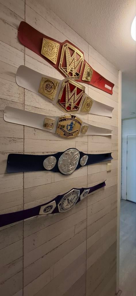 WWE speelgoedtitels/toy belt, eentje met handtekeningen, Ophalen of Verzenden, Zo goed als nieuw, Jongen of Meisje
