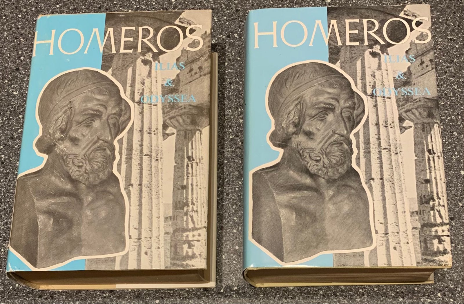 Homeros (Homerus) - Ilias & Odyssee (Odysseia), Ophalen of Verzenden, Gelezen
