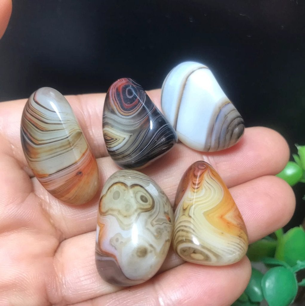 5 Prachtige agaat stenen uit Madagaskar om unieke sieraden, Verzenden, Nieuw, Steen of Mineraal