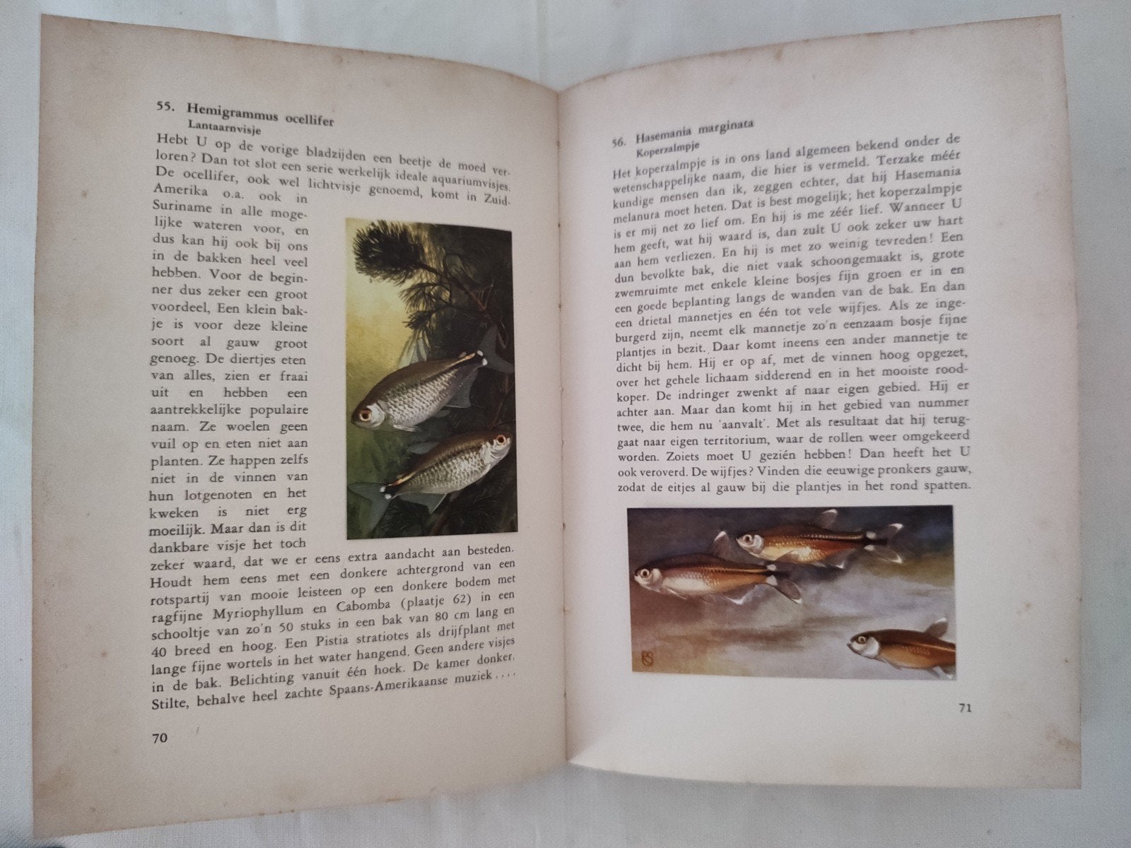 4 bijzondere oude natuurboeken, Ophalen of Verzenden, Gelezen, Bloemen, Planten en Bomen