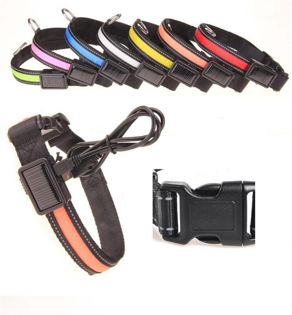 39 Stuks Lichtgevende Hondenhalsband - Verschillende Maten, Theodoor Colenbranderhof 9, 3059LC Rotterdam, Nederland, Info@currentcomponents.nl