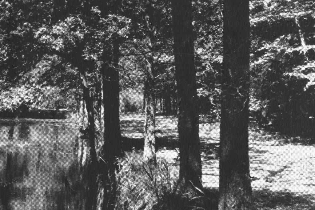 967228 Dorst Slotvijver  Duiventoren 1961 Gelopen met zegel, Verzamelen, Ansichtkaarten | Nederland, Ophalen of Verzenden, 1960 tot 1980