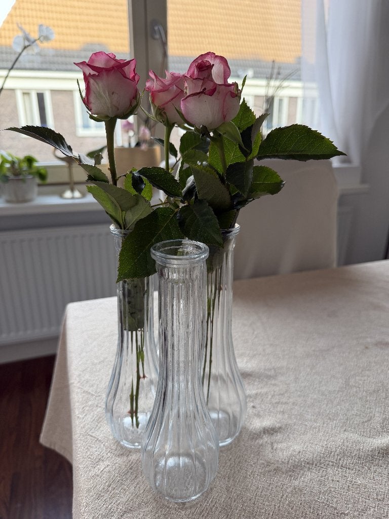 Glazen vaasjes, 36 stuks, Huis en Inrichting, Woonaccessoires | Vazen, Ophalen, Geschikt voor buiten, Transparant, 22 cm