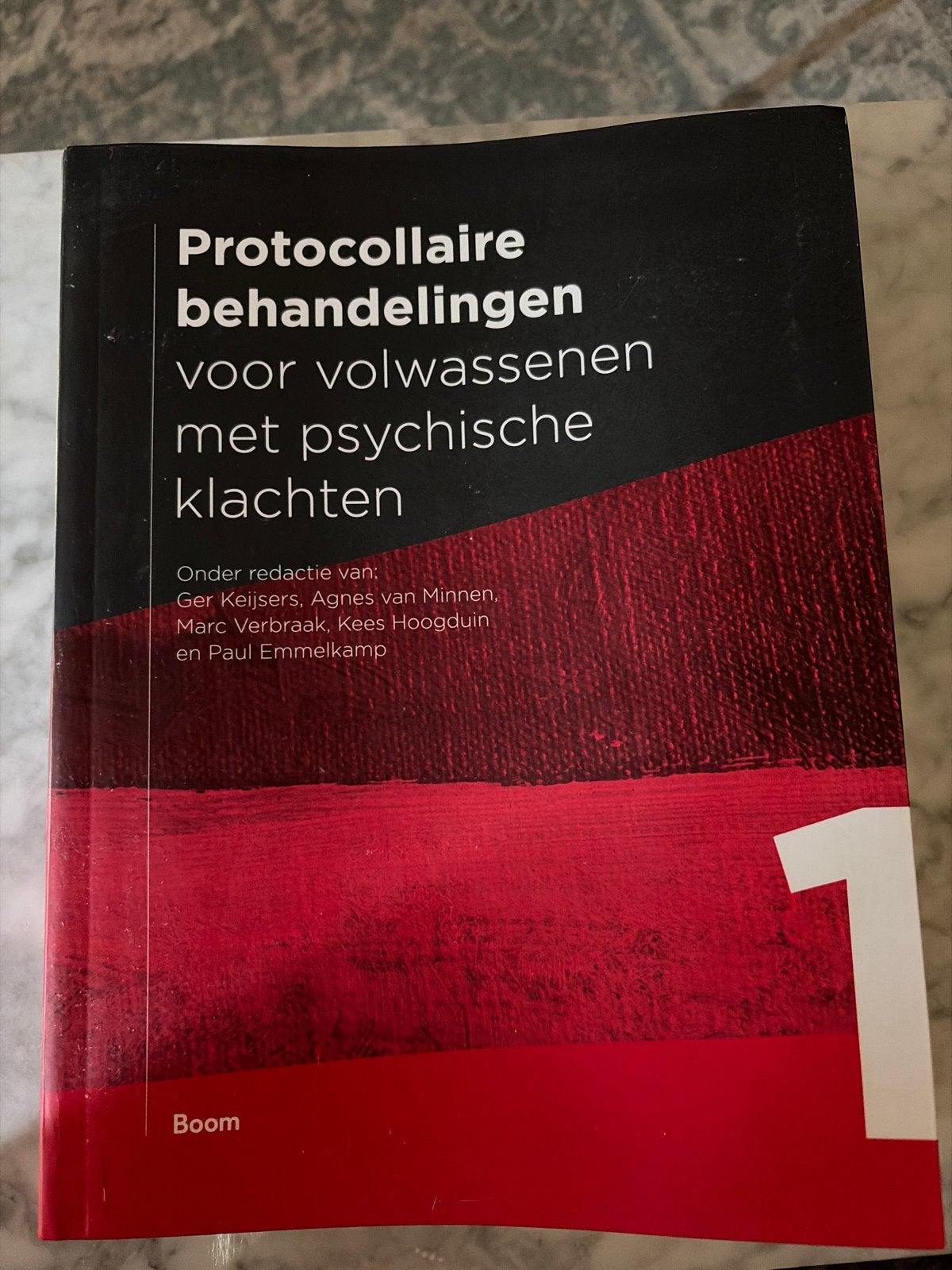 Protocollaire behandelingen volwassenen psychische klachten, Ophalen of Verzenden, Gamma, Zo goed als nieuw, HBO