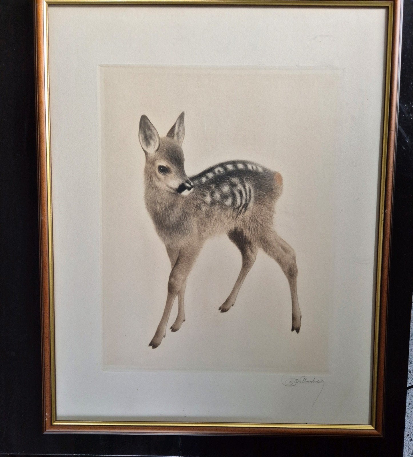 Originele ets "Reekalfje" – Kurt Meyer-Eberhardt, Antiek en Kunst, Ophalen of Verzenden