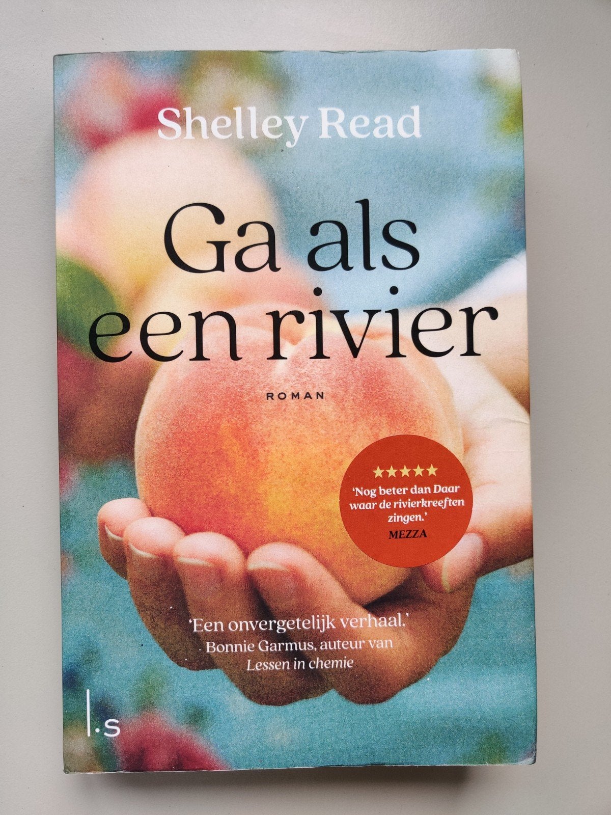 Ga als een rivier - Shelley Read (Roman), Boeken, Romans, Ophalen of Verzenden, Zo goed als nieuw, Shelley Read, Nederland