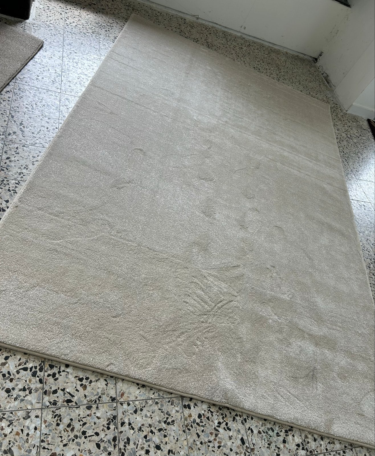 Licht beige vloerkleed 200x300 cm, Huis en Inrichting, Stoffering | Tapijten en Kleden, Ophalen, Gebruikt, Beige, 200 cm of meer