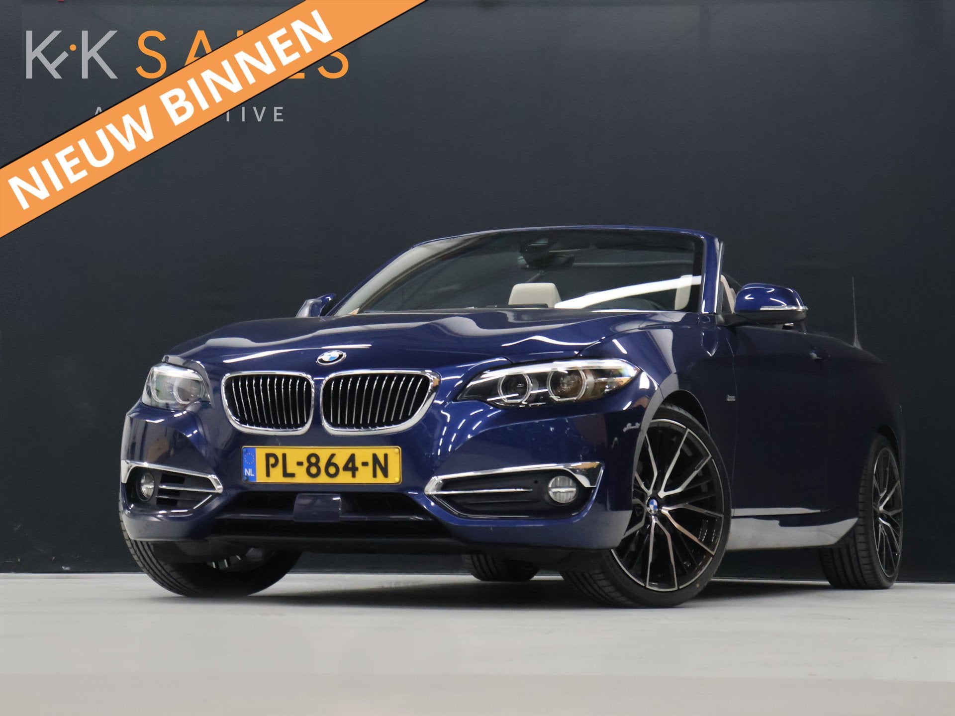 BMW 2 Serie Cabrio 218i High Executive [GROOT NAVIGATIE, STO, Auto's, BMW, Automaat, Gebruikt, Cabriolet, 3 cilinders