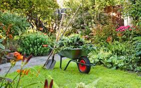 Tuinman regio Dedemsvaart,Ommen,Coevorden,Hardenberg, Tuin en Terras, Overige Tuin en Terras, Nieuw, Ophalen