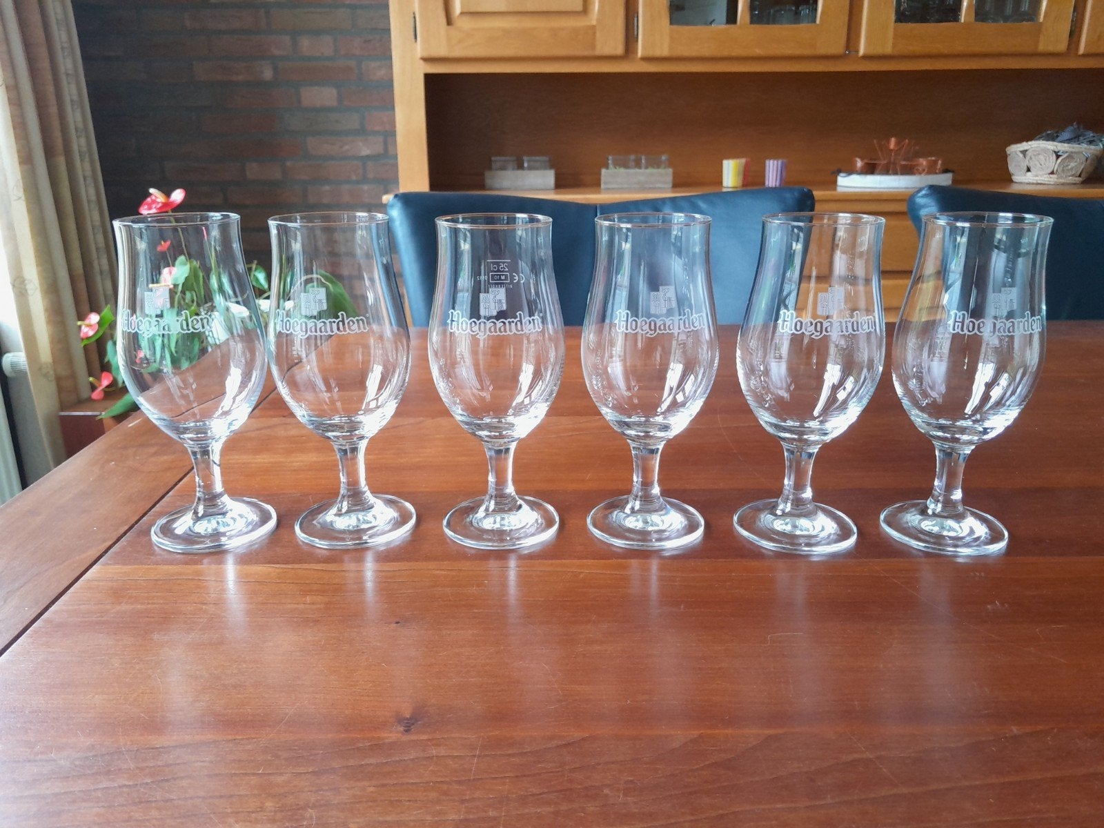 Hoegaarden bier glazen, Ophalen of Verzenden, Nieuw, Glas of Glazen, Overige merken