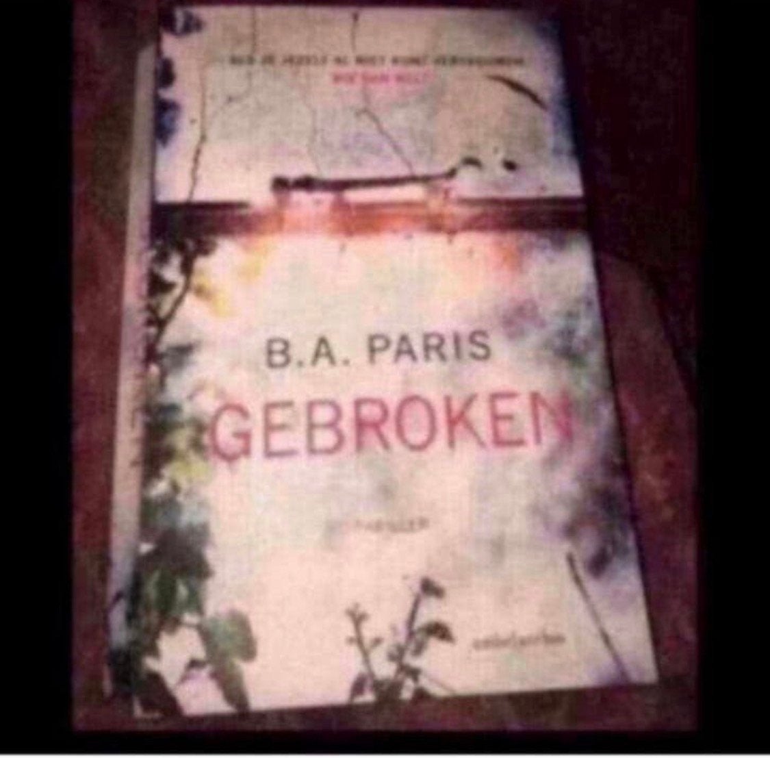 B a paris, Ophalen, Gelezen