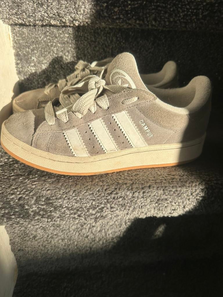 Adidas Campus, Overige kleuren, Ophalen of Verzenden, Gedragen, Veterschoenen