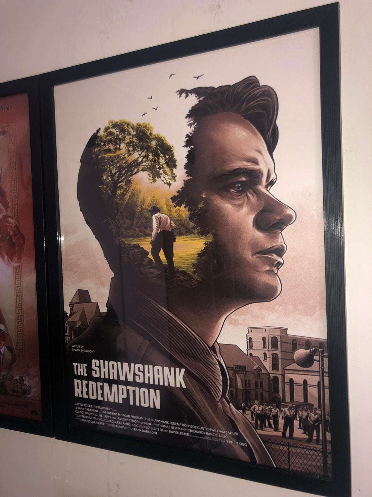 the shawshank redemption, Ophalen of Verzenden, Zo goed als nieuw, A1 t/m A3, Film en Tv