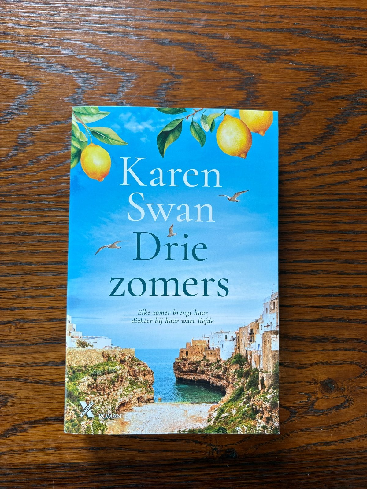 Drie Zomers - Karen Swan (Roman), Ophalen of Verzenden, Zo goed als nieuw, Nederland