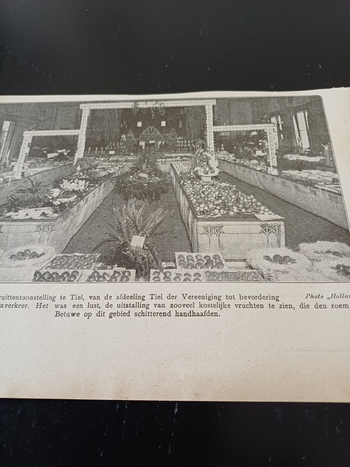 knipsel fruittentoonstelling Tiel 1919, Ophalen of Verzenden, Voor 1920, Knipsel(s)