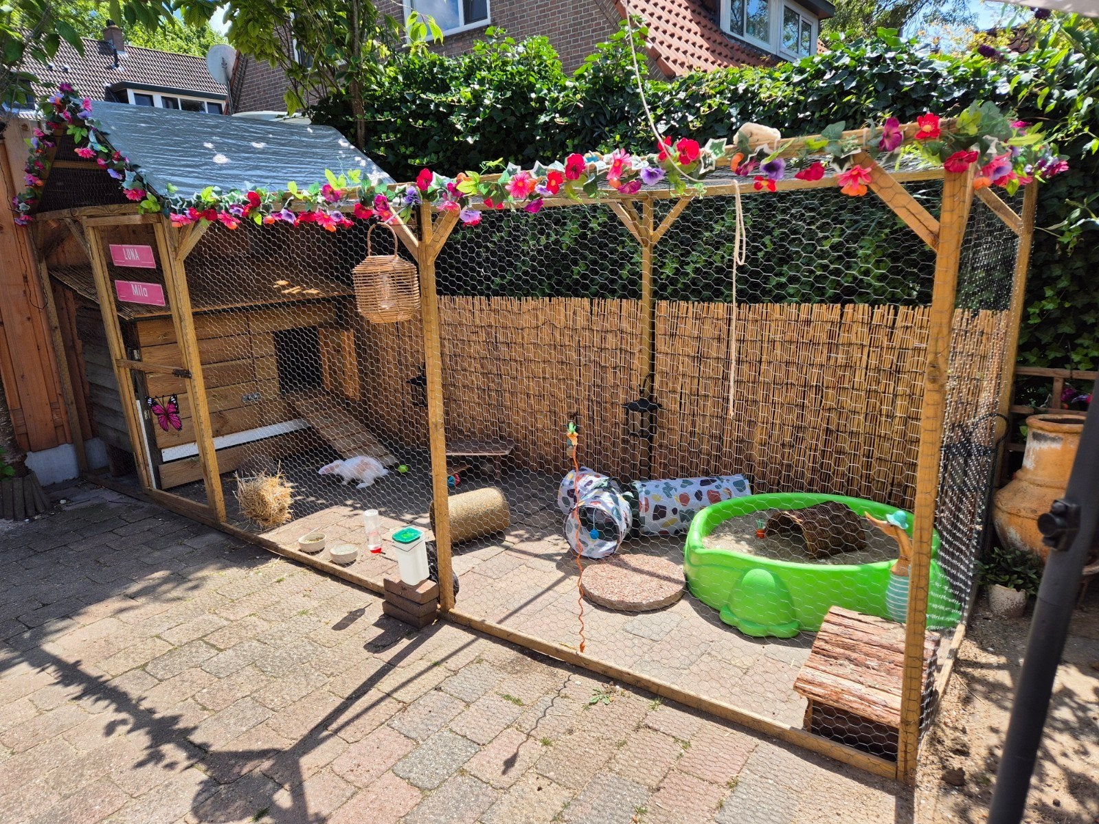 Vakantieopvang voor Konijnen / Konijnenopvang, Dieren en Toebehoren, Konijnen, Meerdere dieren, Klein