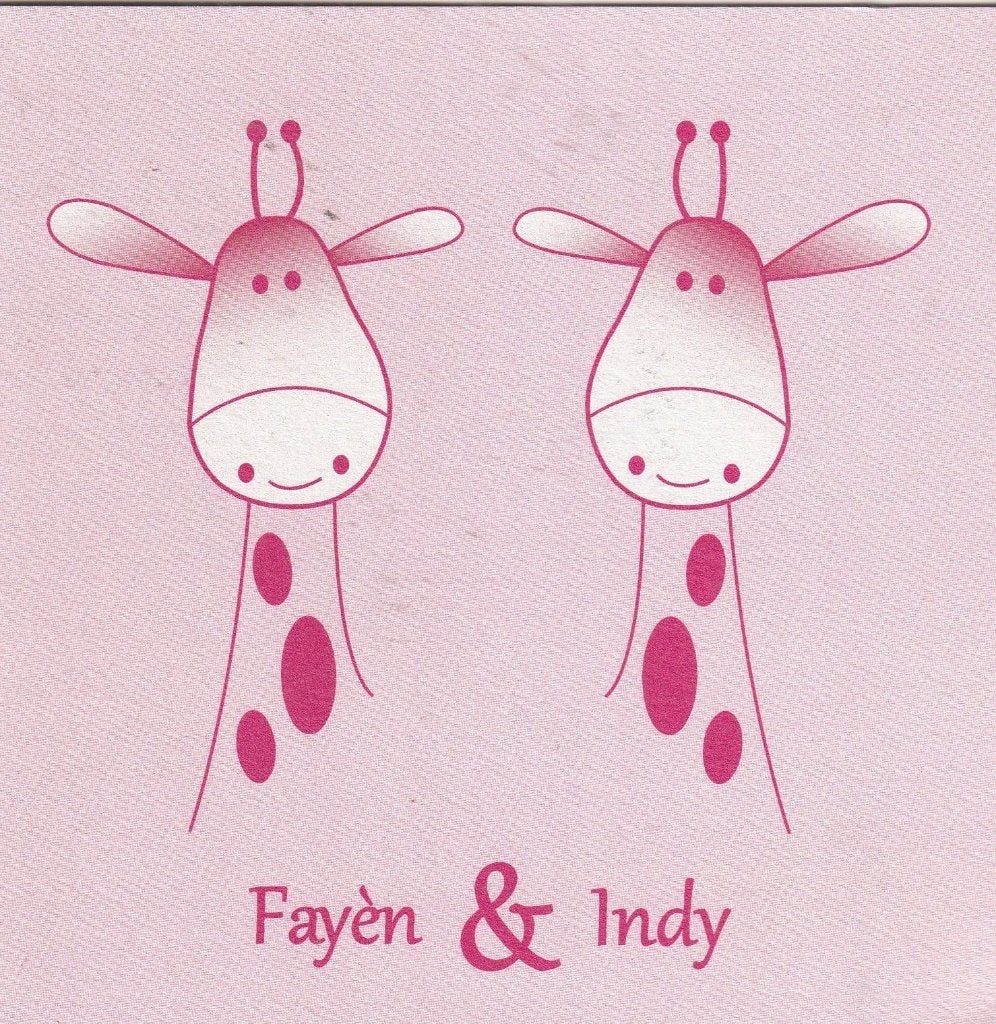 Fayén & Indy, Ophalen of Verzenden, 2000 tot heden, Geboortekaartje