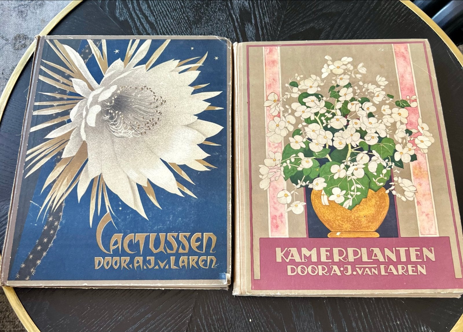 Verkade Albums: Cactussen en Kamerplanten (2 boeken), Boeken, Ophalen of Verzenden, Gelezen, Bloemen, Planten en Bomen