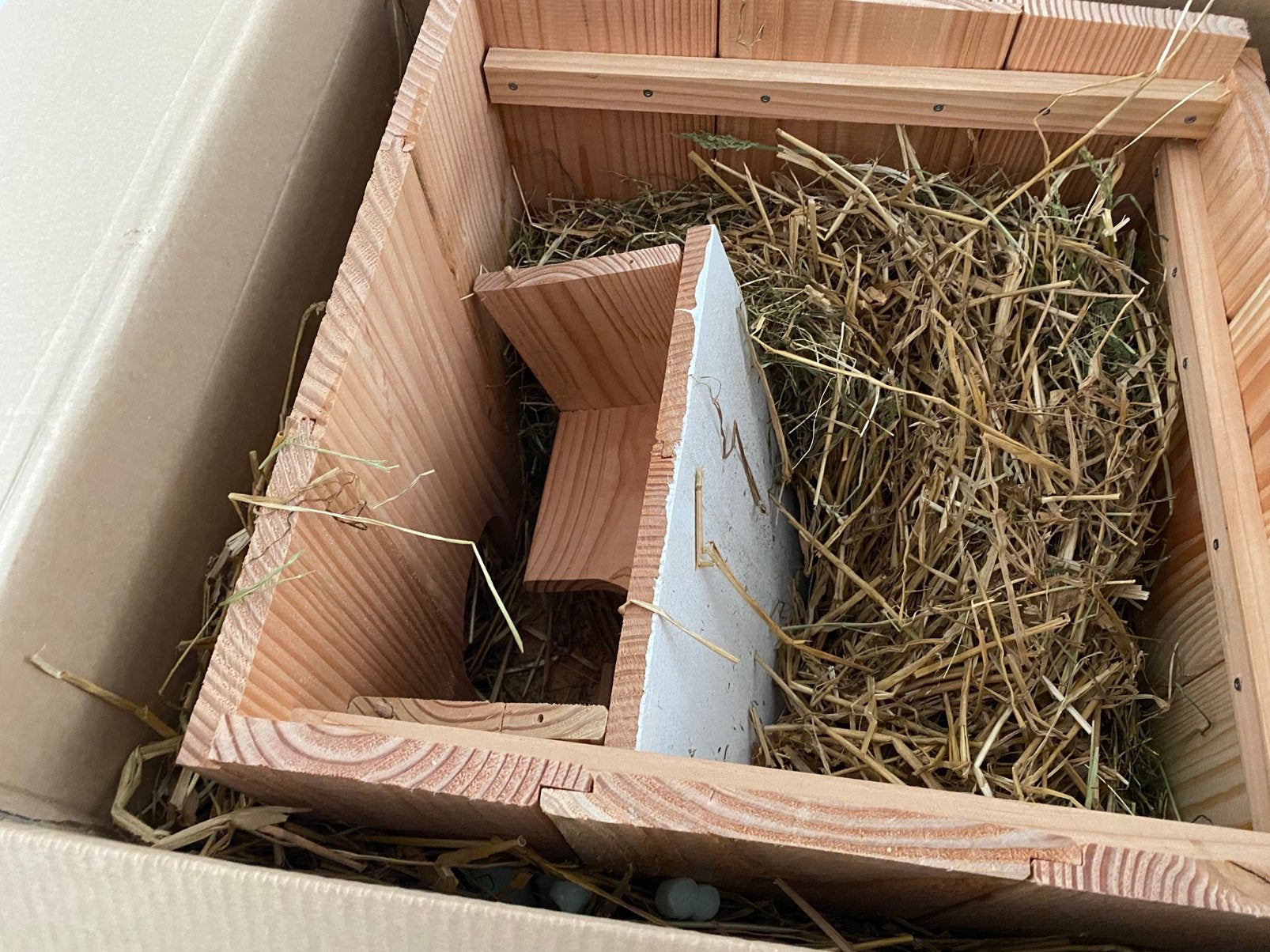 Egelhuis Hedgyhome 1.0 ., Dieren en Toebehoren, Ophalen, Nieuw