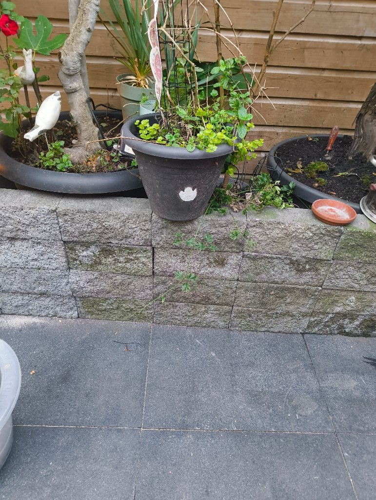 Border stenen, Klinkers, Ophalen of Verzenden, Zo goed als nieuw, Minder dan 5 m²