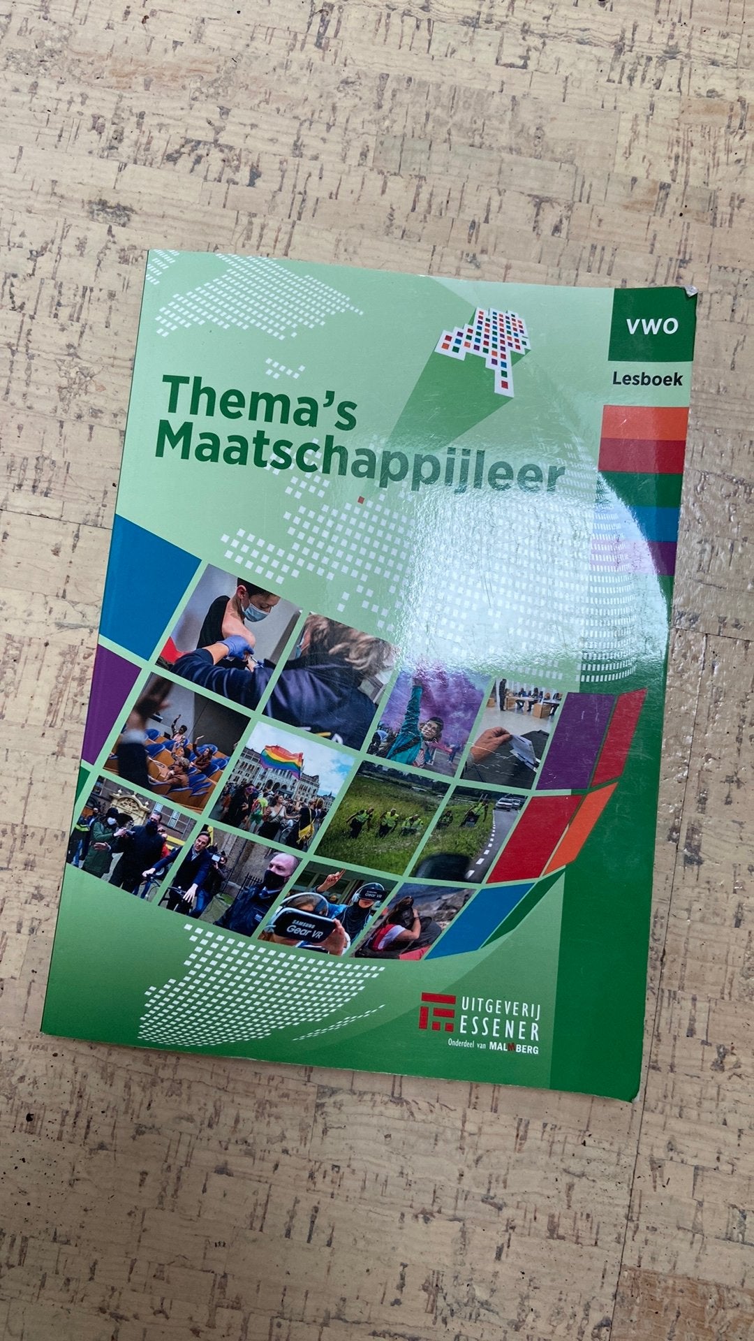 Thema’s maatschappijleer lesboek VWO, Boeken, Ophalen of Verzenden, Zo goed als nieuw, Overige niveaus
