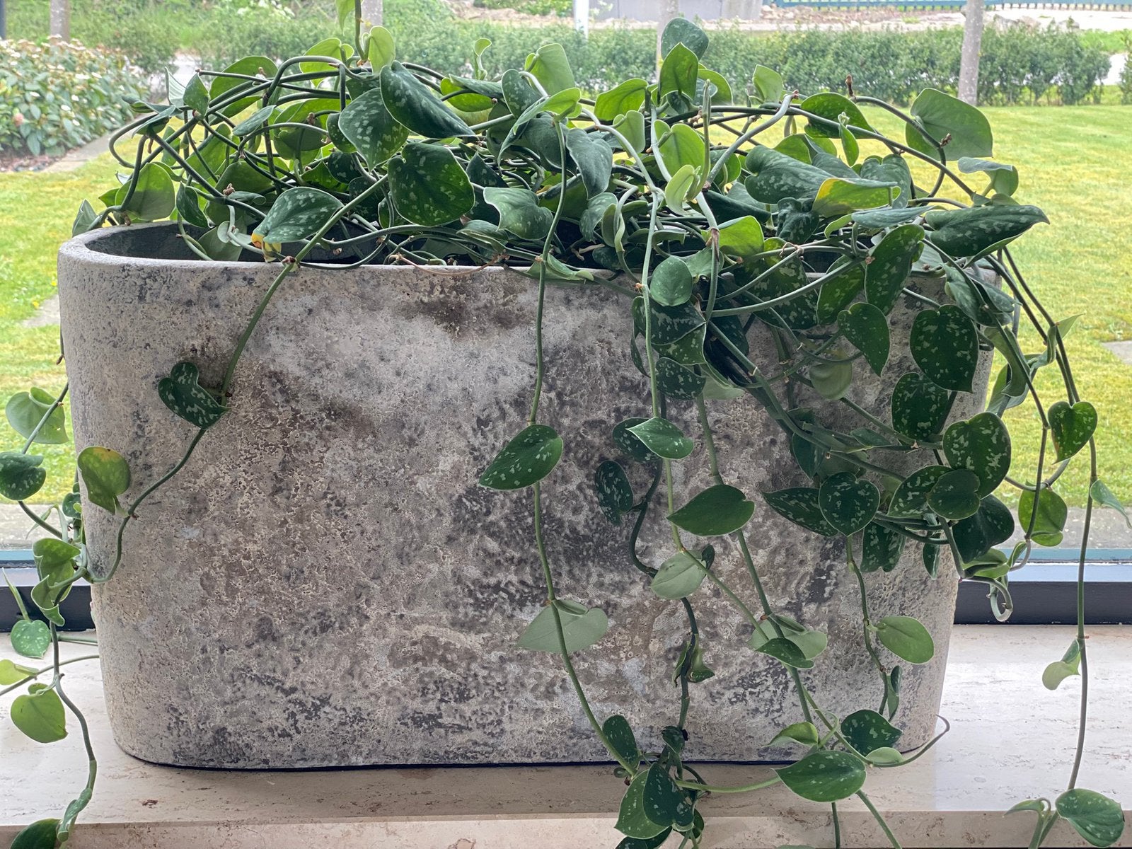 Plantenbak/ bloempot, Ophalen, Steen, Zo goed als nieuw, Binnen