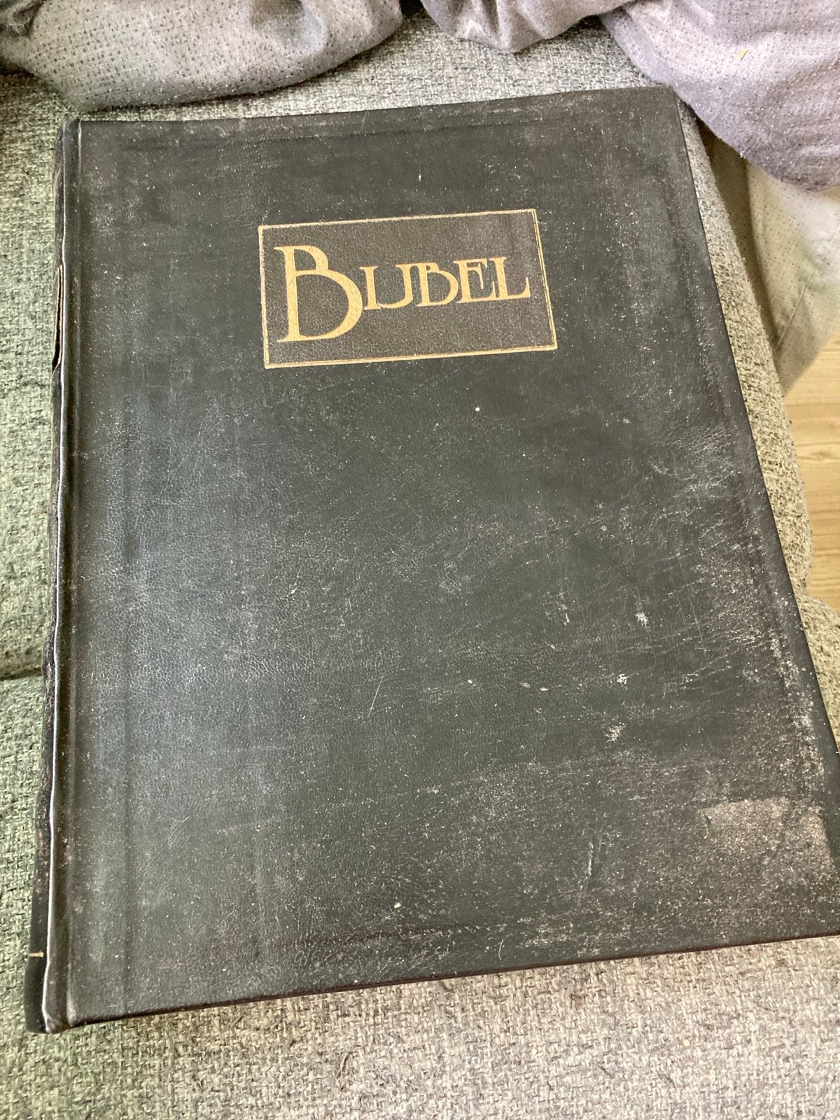 Antieke Statenbijbel met Familie Register - Budel, Antiek en Kunst, Antiek | Boeken en Bijbels, Ophalen of Verzenden