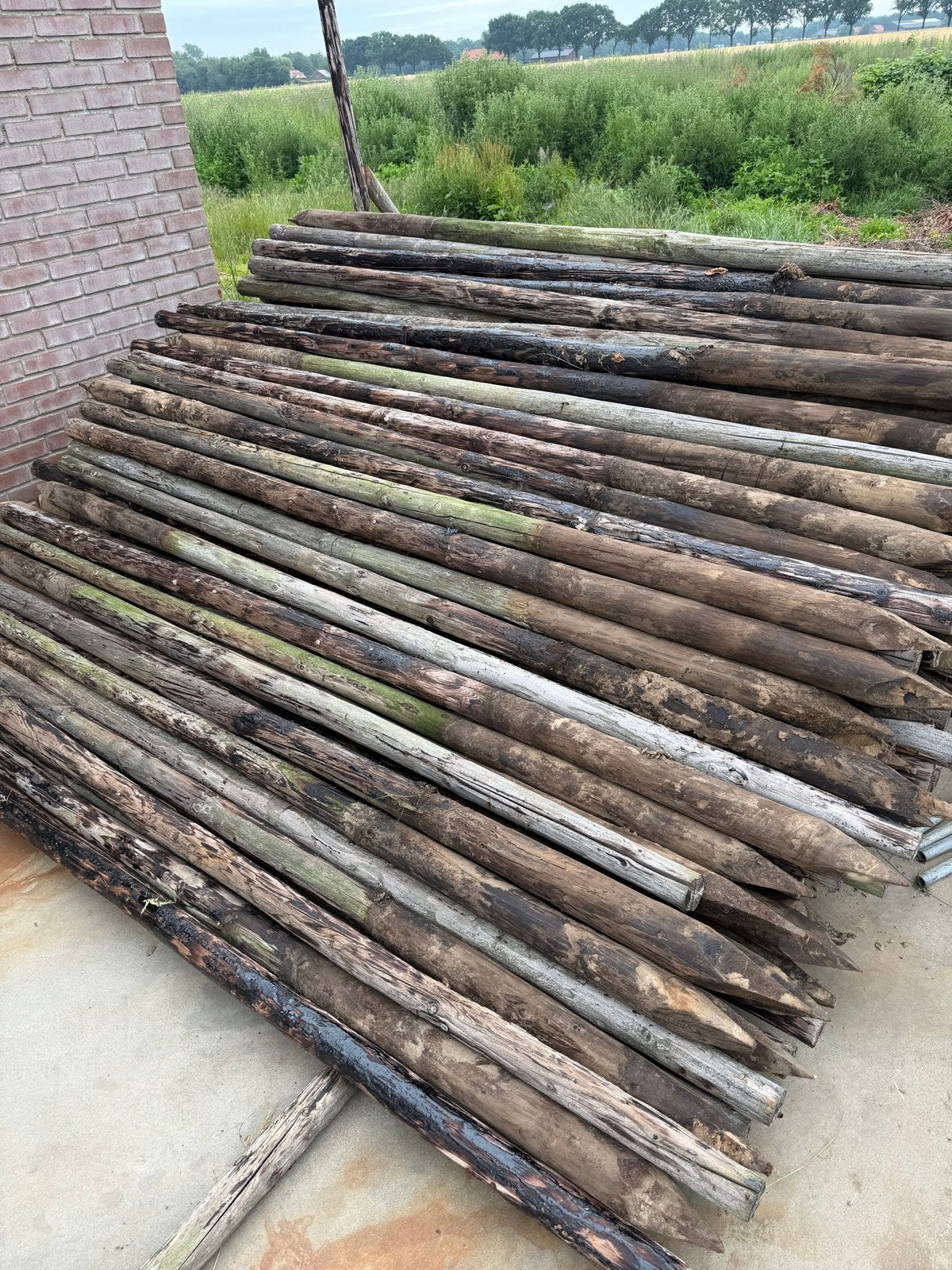 Weidepalen, weipalen, palen, Ophalen, Gebruikt, 250 cm of meer, Palen