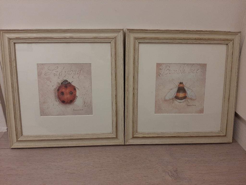 2x Kathryn White - Bumble Bee en Ladybird, Huis en Inrichting, Ophalen, Minder dan 50 cm, Gebruikt, Schilderij
