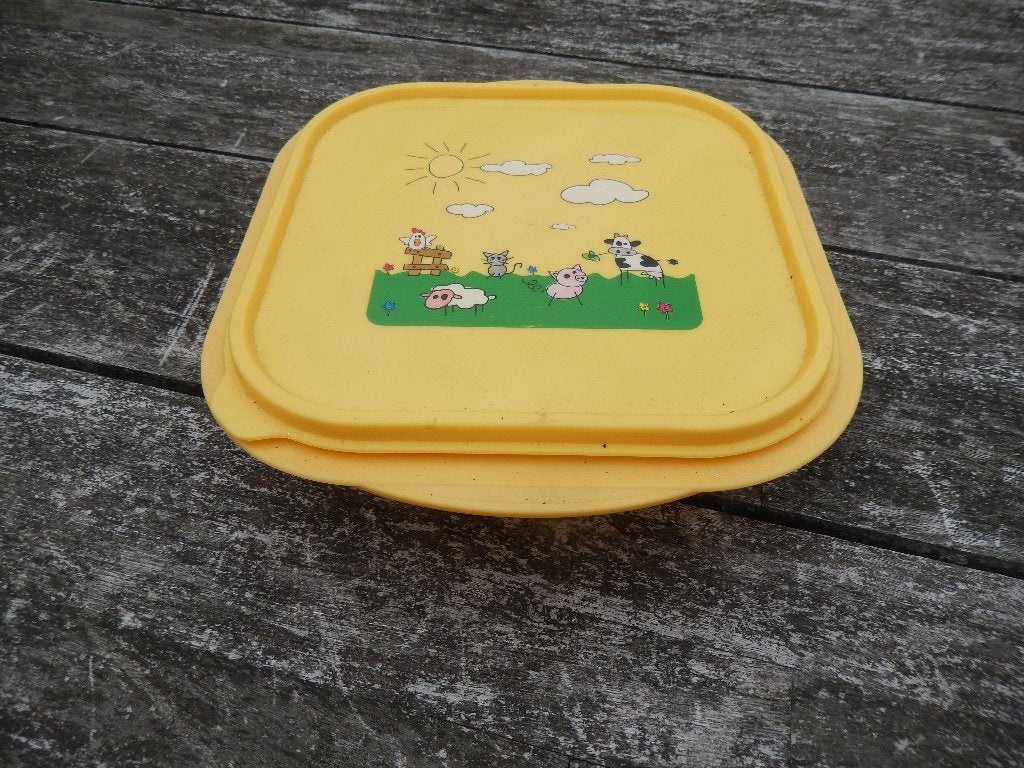 Maaslander ruimtebesparende kaasbox - kaasdoos, Ophalen of Verzenden, Zo goed als nieuw