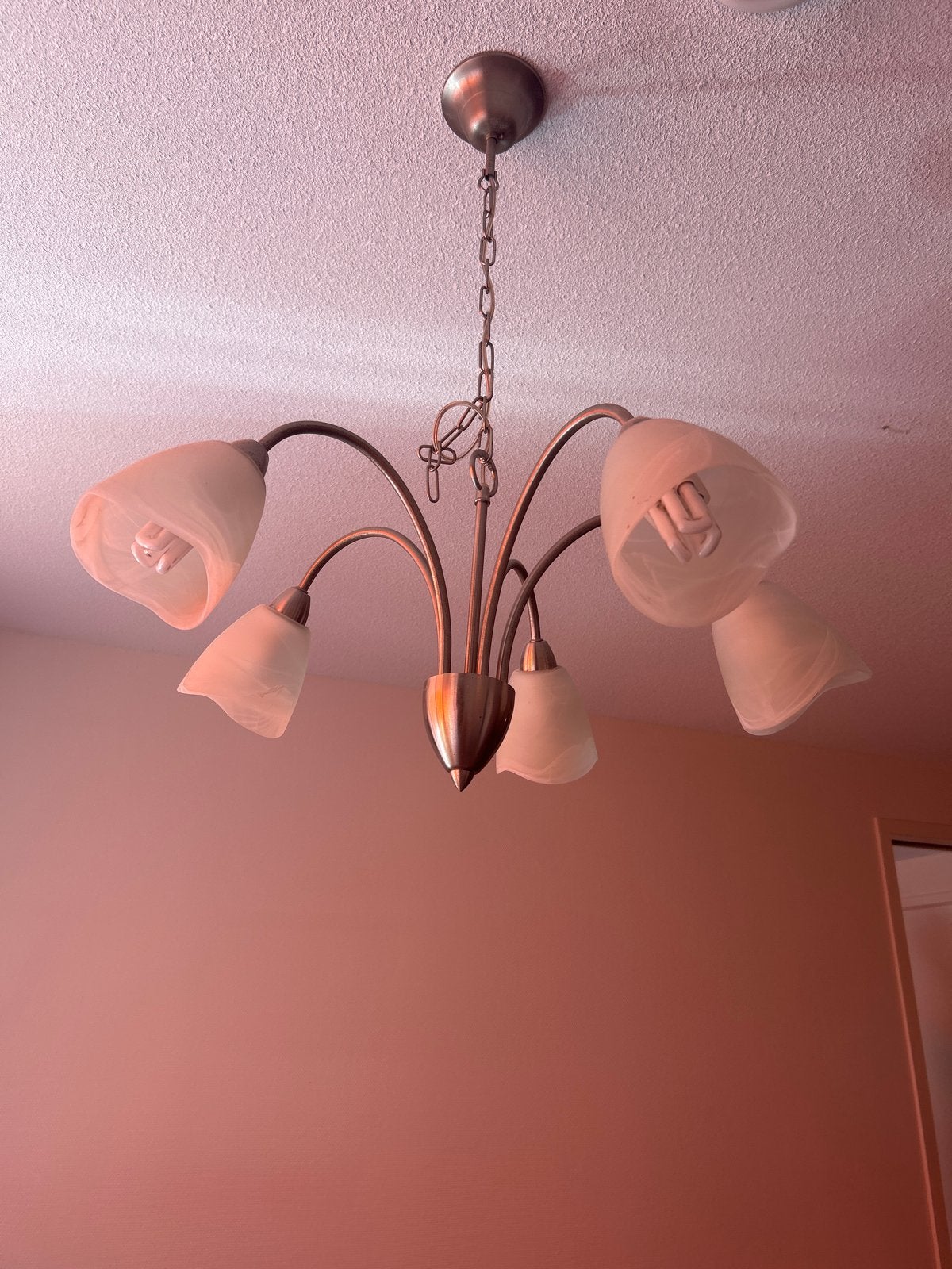 Gratis hanglamp met 5 glazen kappen, Ophalen, Gebruikt, Metaal, E14 (klein)