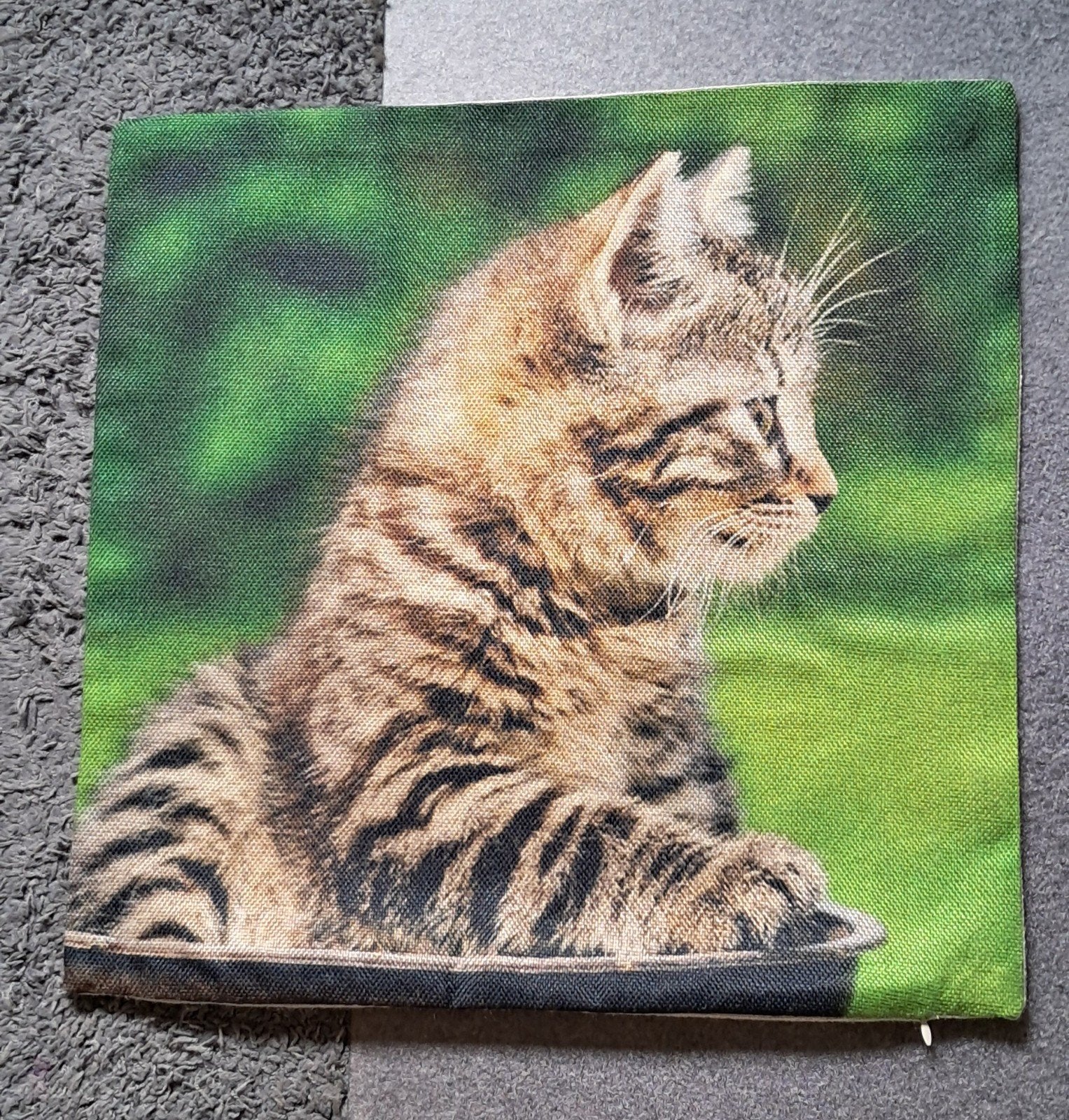 Kussenhoes "kat". (2x), Huis en Inrichting, Woonaccessoires | Kussens, Ophalen of Verzenden, Vierkant