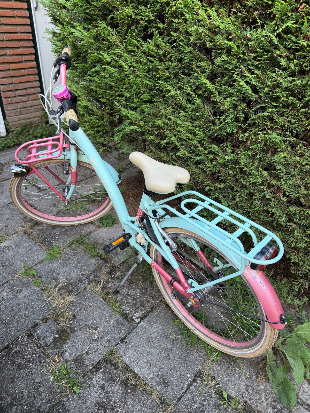Kinderfiets 22inch （Loekie Prinses）, Fietsen en Brommers, Ophalen, Terugtraprem, 22 inch, Gebruikt