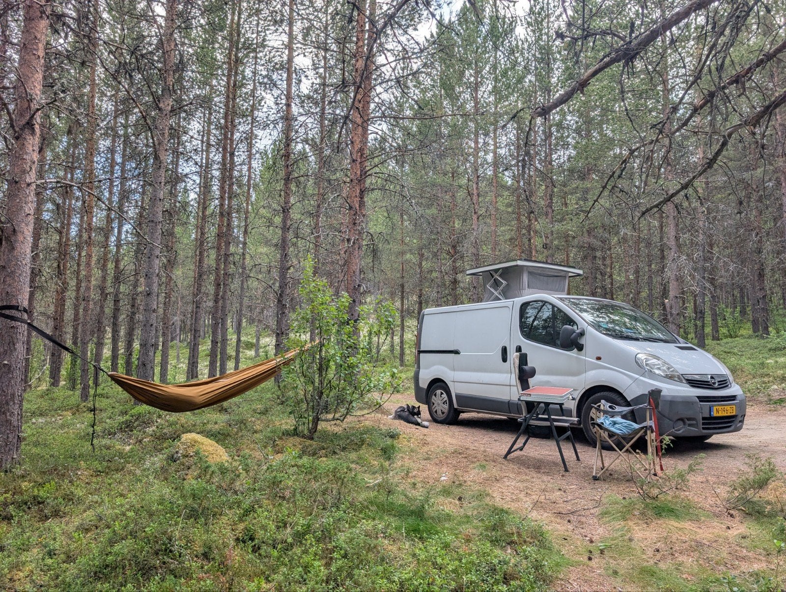 Super leuk camperbusje met hefdak - Opel Vivaro, Tot en met 2, Particulier, 4 tot 5 meter, Overige merken