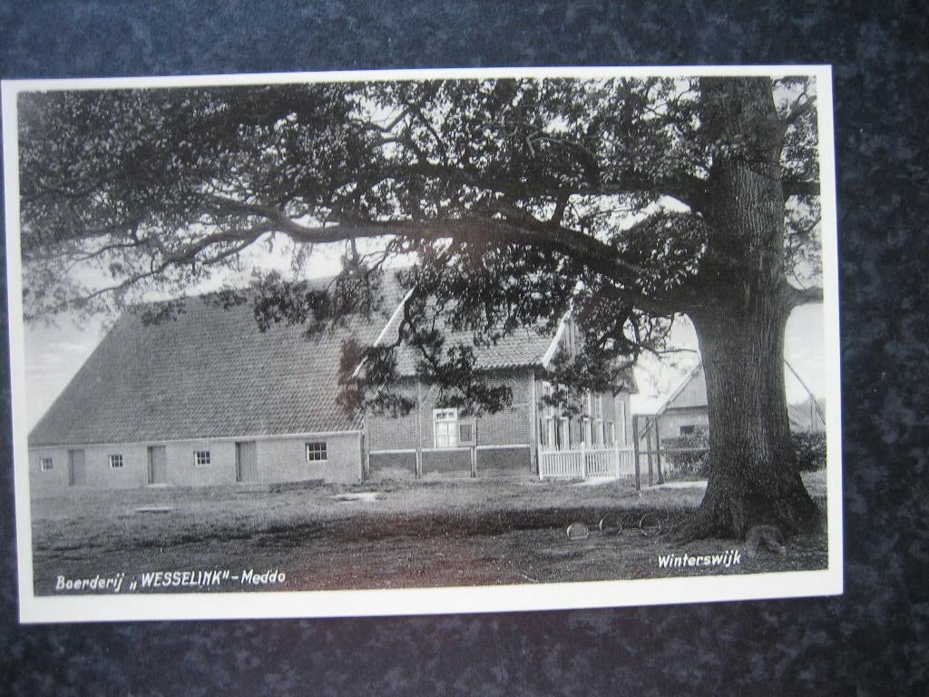 MEDDO  Winterswijk Boerderij Wesselink A, Ophalen of Verzenden, 1960 tot 1980, Gelderland
