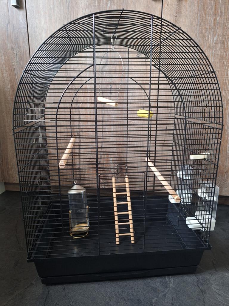 Vogelkooi zwart groot voor parkiet of agapornis, Dieren en Toebehoren, Vogels | Parkieten en Papegaaien, Geslacht onbekend, Dwergpapegaai of Agapornis