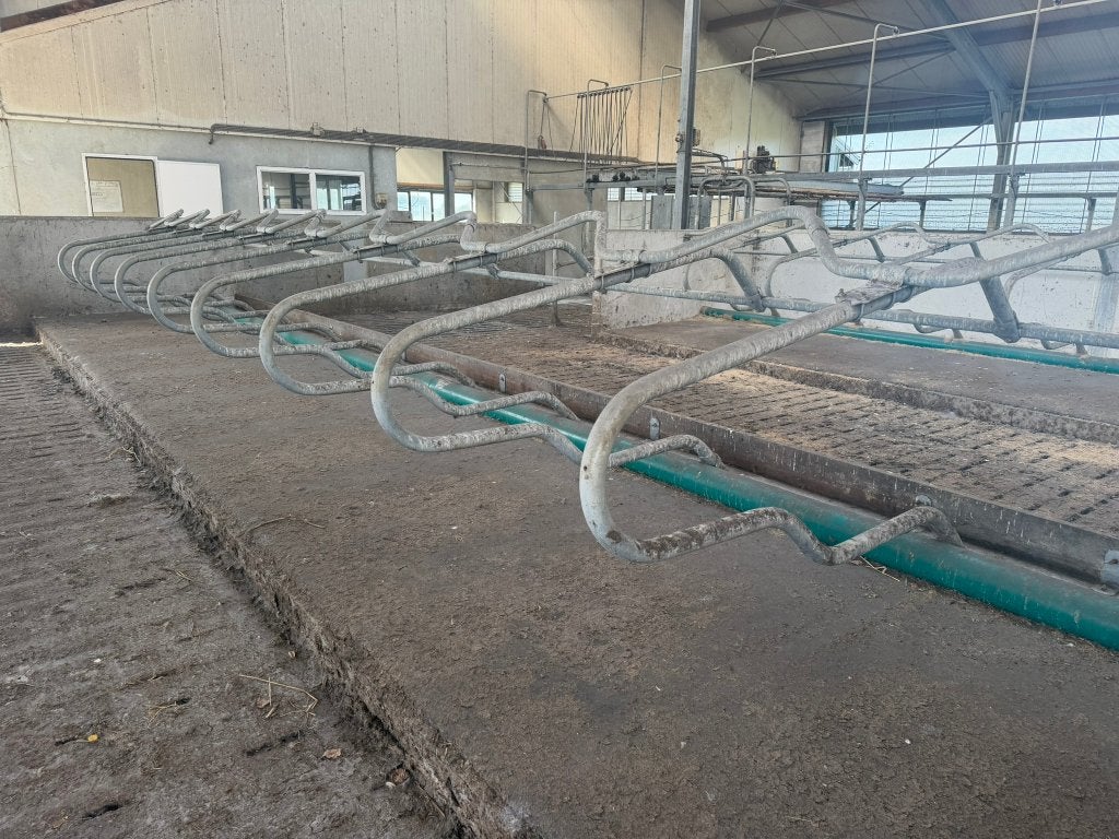 20 stuks comfort ligbox | 200 cm | melkvee stalinrichting, Januari, Mannelijk