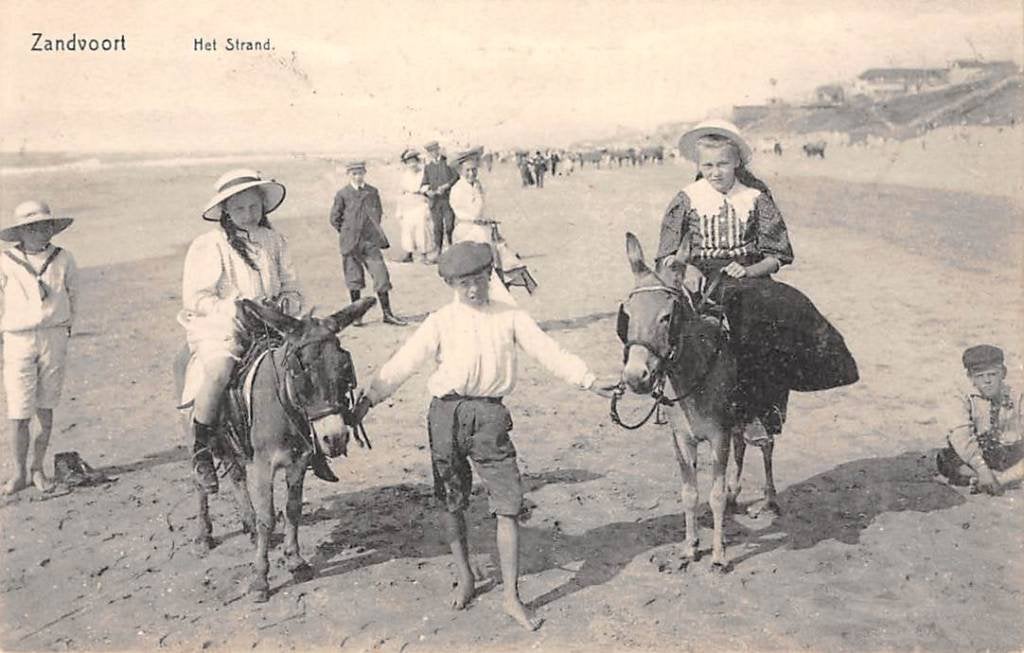 Zandvoort aan Zee Ezeltje rijden op het strand Kind 1909, Verzenden, Voor 1920, Gelopen, Noord-Holland