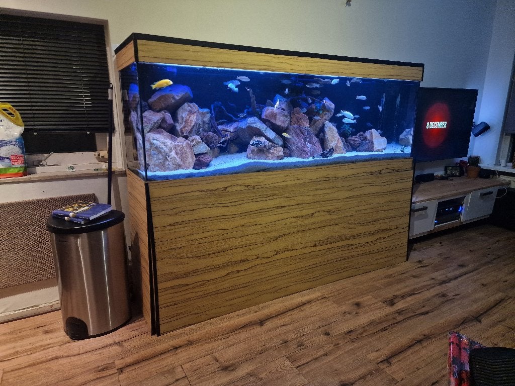 Aquarium compleet met inhoud en veel opties, Dieren en Toebehoren, Ophalen, Inclusief vissen, Gebruikt, Gevuld zoetwateraquarium