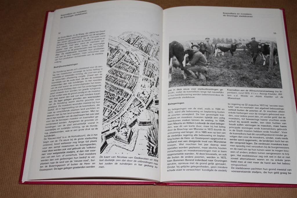 Groningen toen 1986., Ophalen of Verzenden, Gelezen