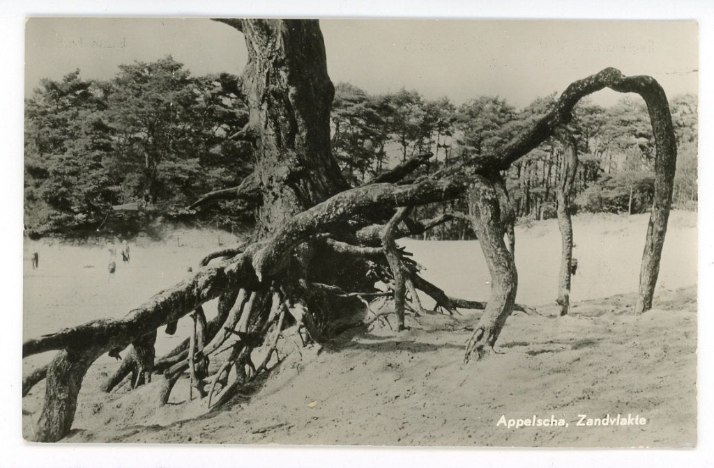 Appelscha, Verzamelen, Verzenden, Gelopen, Friesland