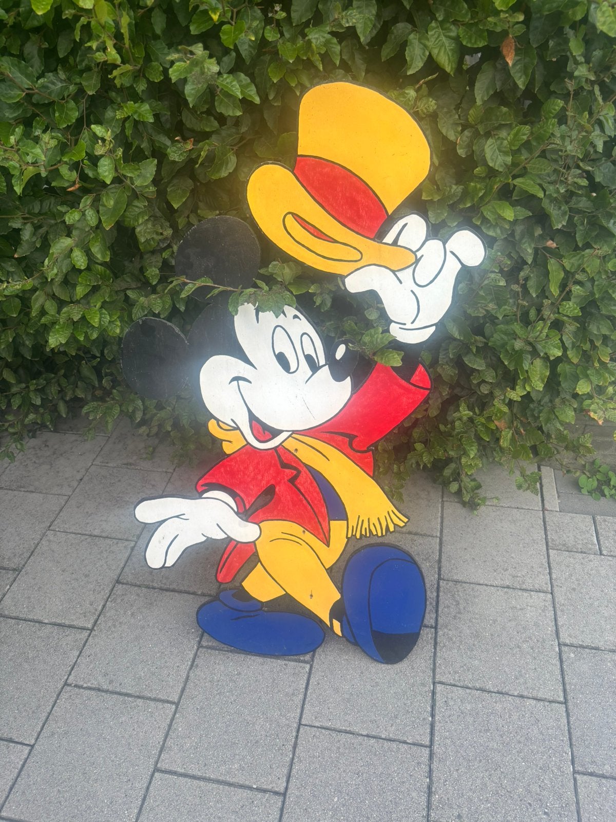 Geboorte bord      Mickey Mouse, Ophalen, Gebruikt