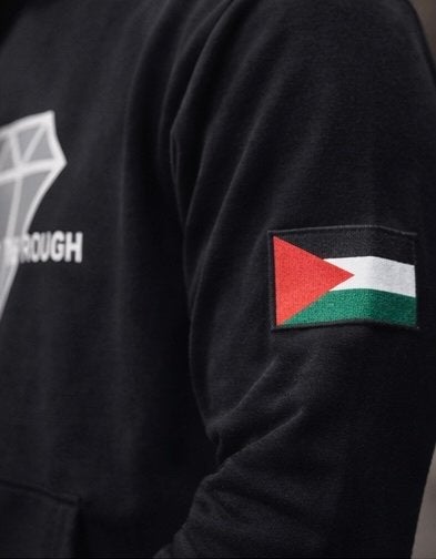 Unisex Hoodie Diamond in the Rough met Palestina Vlag, Ophalen of Verzenden, Nieuw
