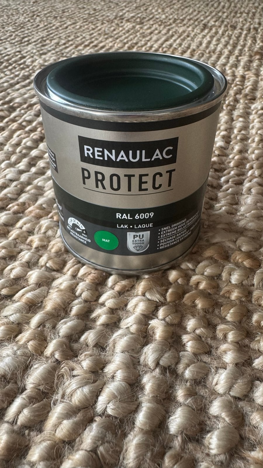 Renaulac Protect RAL 6009 Matt Paint – New & Unopened 250 ml, Ophalen, Nieuw, Overige typen
