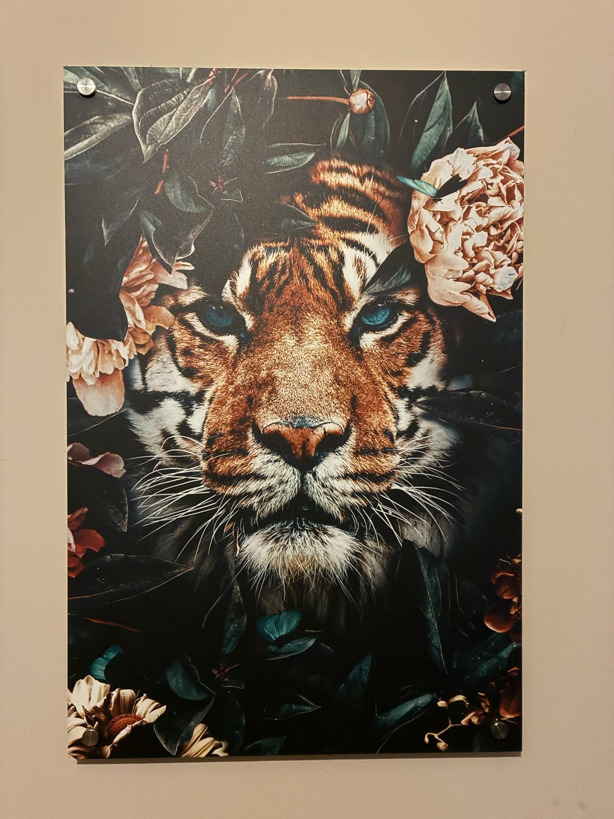 Alu dibond wanddecoratie: Tijger en Leeuw met bloemen, Schilderij, Meerkleurig, Ophalen of Verzenden, Zo goed als nieuw