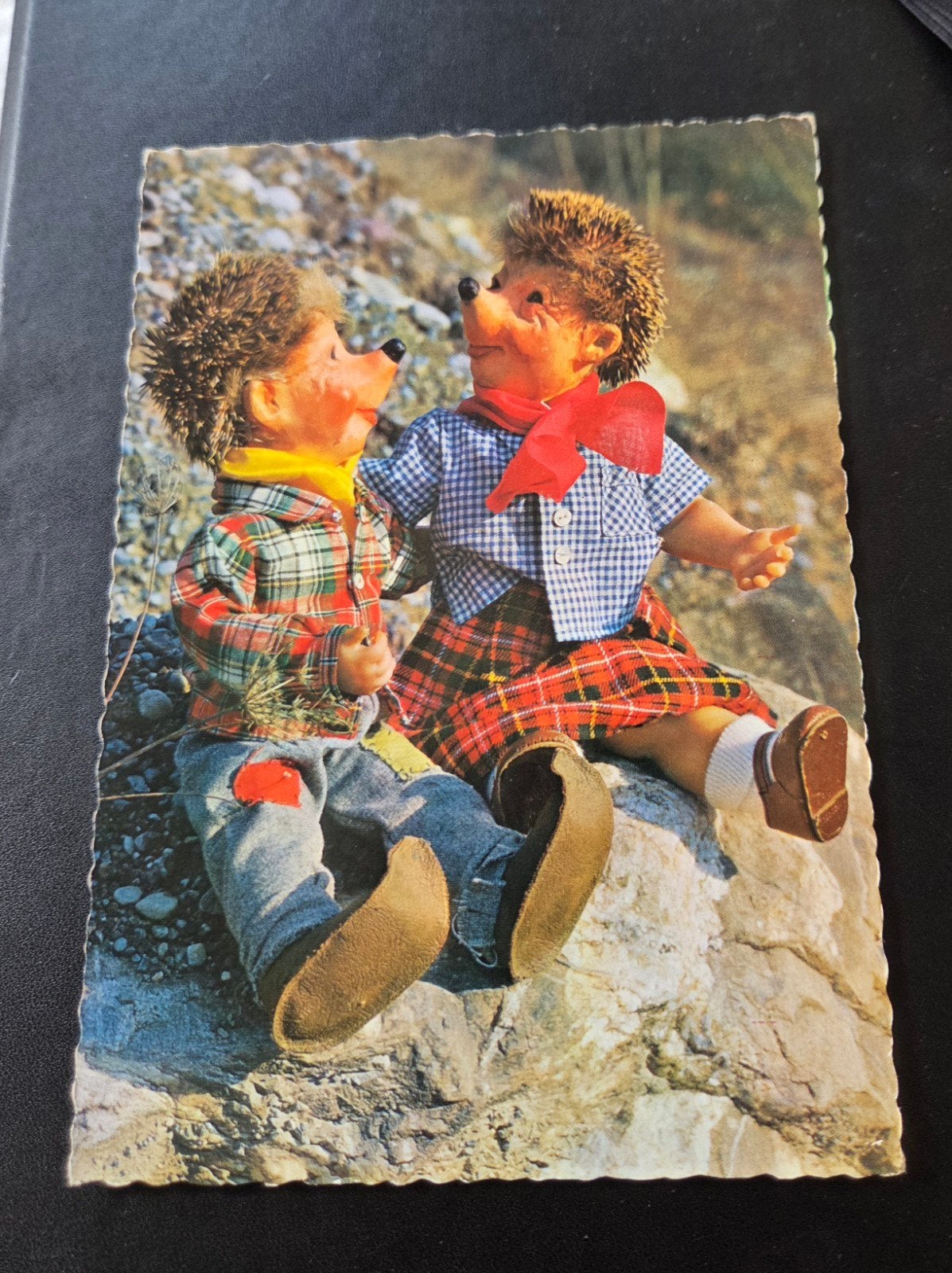 Twee egeltjes zitte  op een rots, Verzenden, 1960 tot 1980, Gelopen, Kinderen